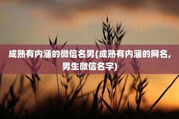 成熟有内涵的微信名男(成熟有内涵的网名,男生微信名字)
