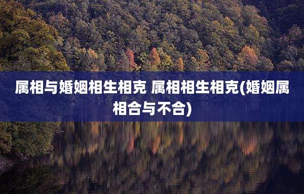 属相与婚姻相生相克 属相相生相克(婚姻属相合与不合)