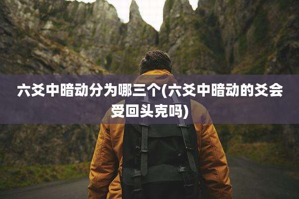 六爻中暗动分为哪三个(六爻中暗动的爻会受回头克吗)