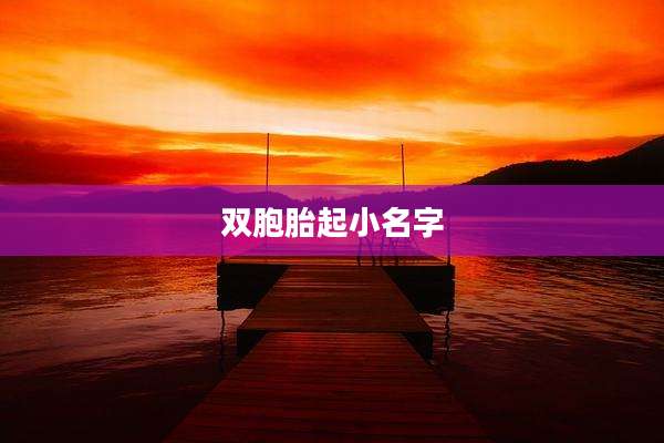 双胞胎起小名字