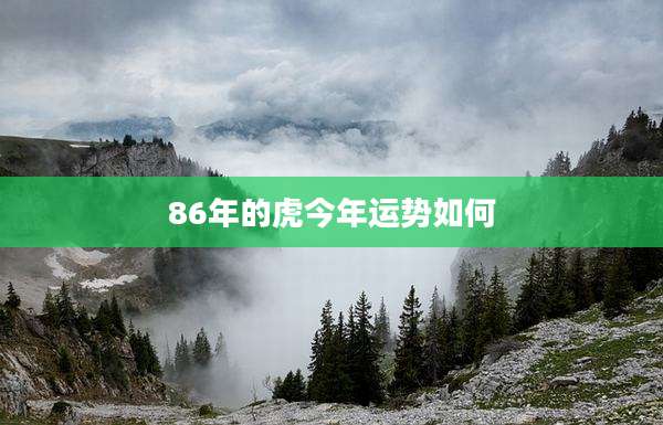 86年的虎今年运势如何