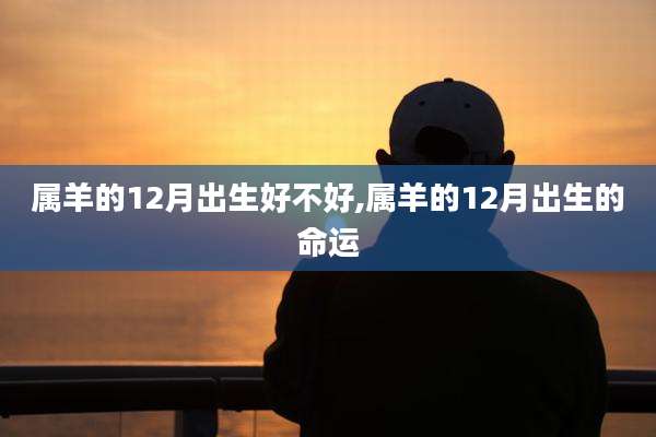 属羊的12月出生好不好,属羊的12月出生的命运