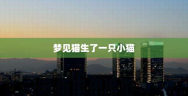 梦见猫生了一只小猫