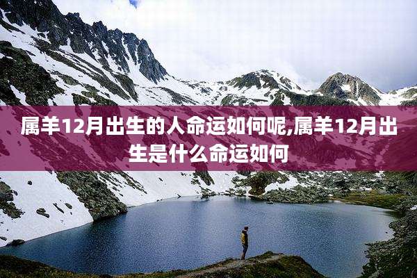 属羊12月出生的人命运如何呢,属羊12月出生是什么命运如何