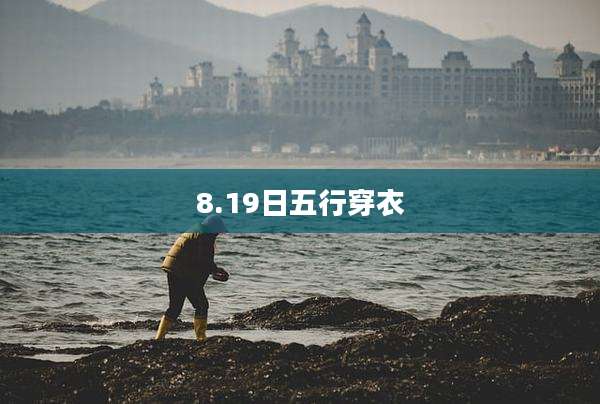 8.19日五行穿衣