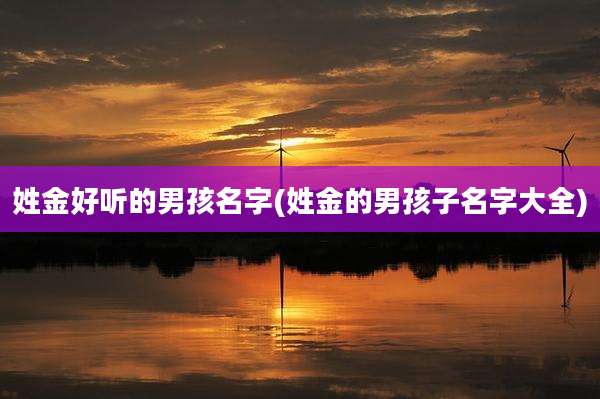 姓金好听的男孩名字(姓金的男孩子名字大全)