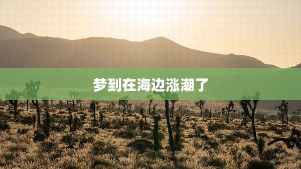 梦到在海边涨潮了