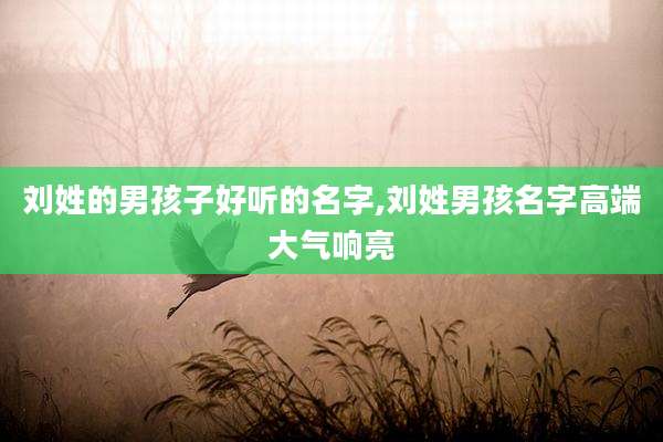 刘姓的男孩子好听的名字,刘姓男孩名字高端大气响亮