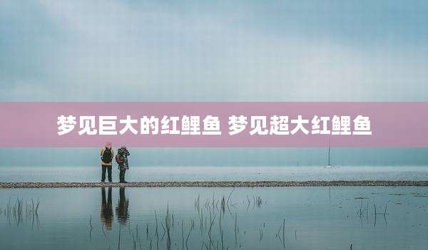 梦见巨大的红鲤鱼 梦见超大红鲤鱼