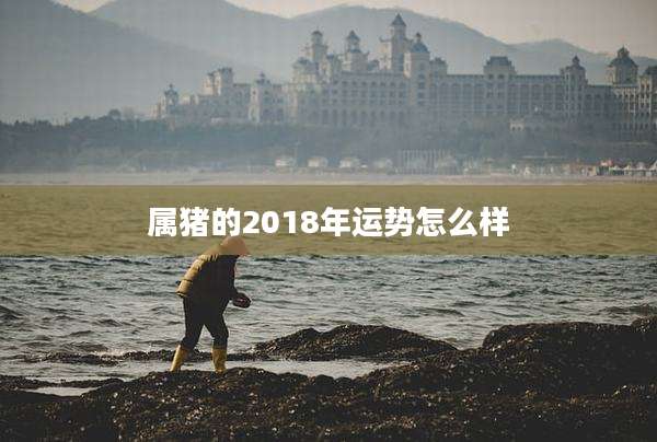 属猪的2018年运势怎么样