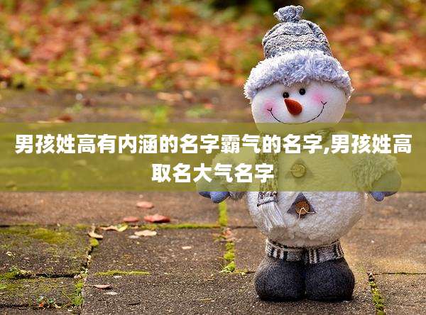男孩姓高有内涵的名字霸气的名字,男孩姓高取名大气名字