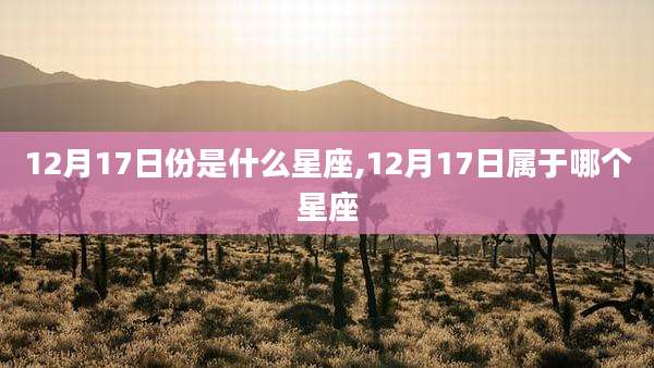 12月17日份是什么星座,12月17日属于哪个星座