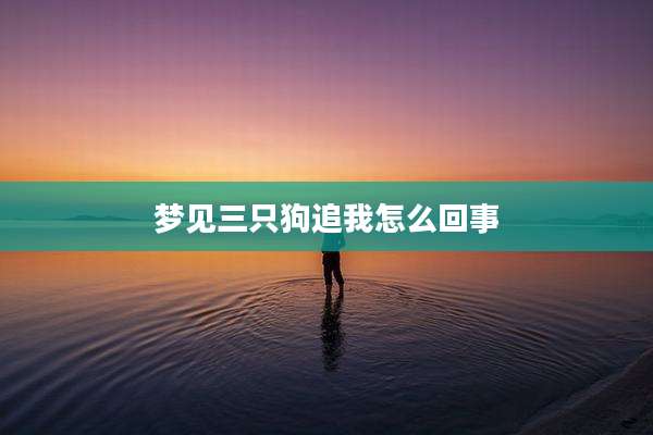 梦见三只狗追我怎么回事