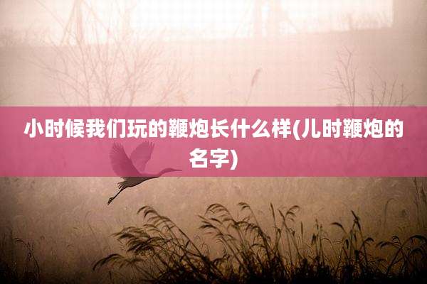 小时候我们玩的鞭炮长什么样(儿时鞭炮的名字)