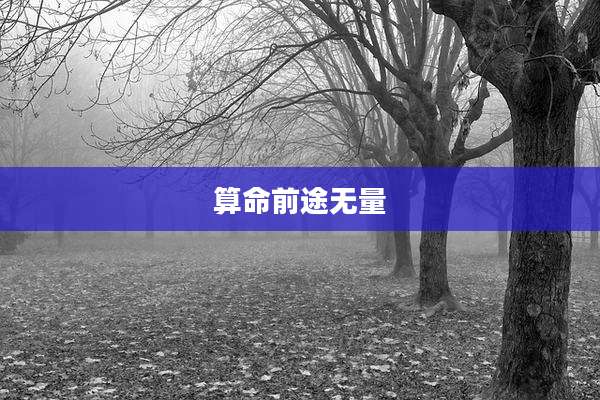 算命前途无量