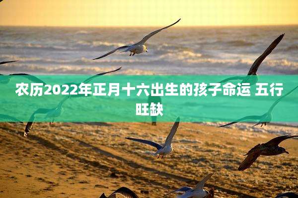 农历2022年正月十六出生的孩子命运 五行旺缺