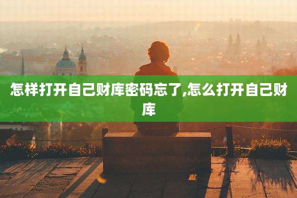 怎样打开自己财库密码忘了,怎么打开自己财库