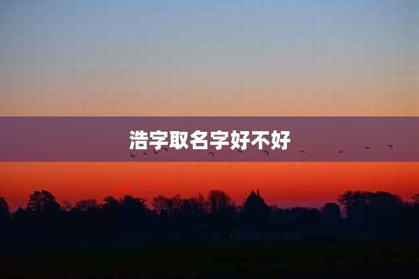 浩字取名字好不好