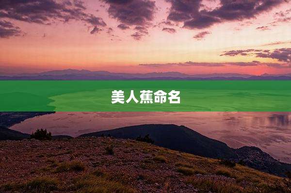 美人蕉命名