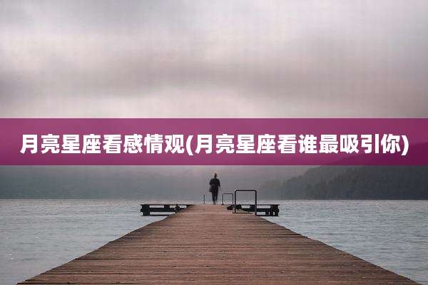 月亮星座看感情观(月亮星座看谁最吸引你)