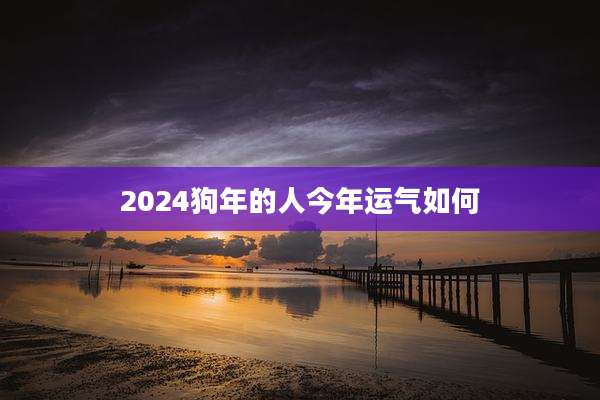 2024狗年的人今年运气如何