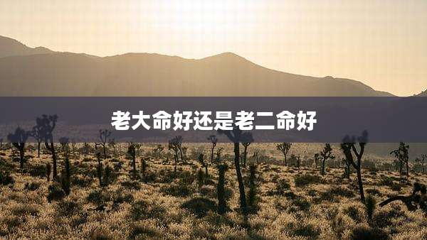 老大命好还是老二命好