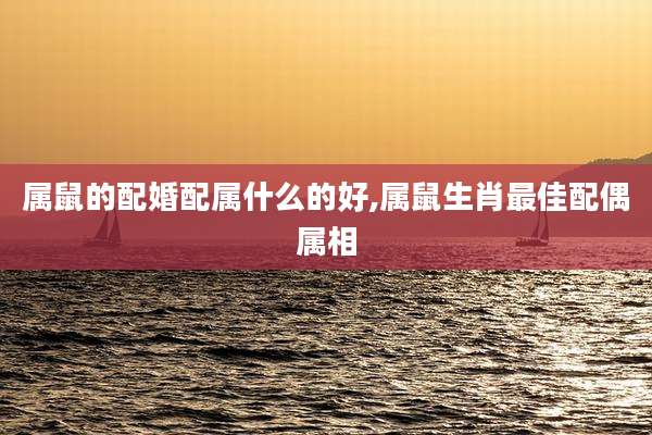 属鼠的配婚配属什么的好,属鼠生肖最佳配偶属相