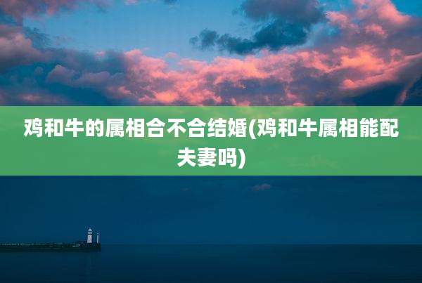 鸡和牛的属相合不合结婚(鸡和牛属相能配夫妻吗)