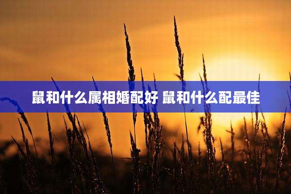 鼠和什么属相婚配好 鼠和什么配最佳