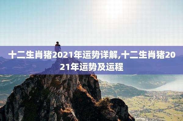 十二生肖猪2021年运势详解,十二生肖猪2021年运势及运程