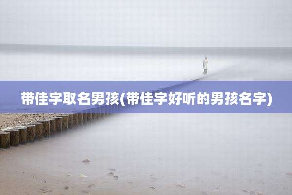 带佳字取名男孩(带佳字好听的男孩名字)