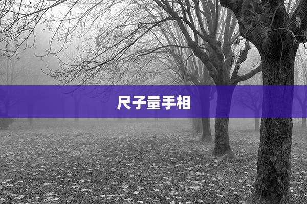 尺子量手相