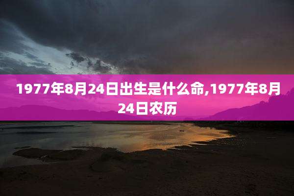 1977年8月24日出生是什么命,1977年8月24日农历