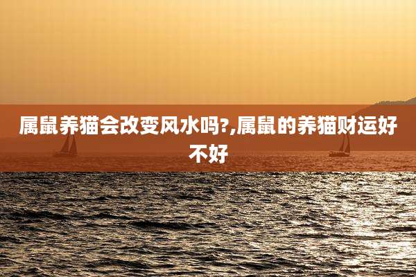 属鼠养猫会改变风水吗?,属鼠的养猫财运好不好