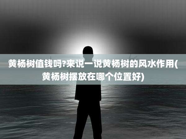 黄杨树值钱吗?来说一说黄杨树的风水作用(黄杨树摆放在哪个位置好)