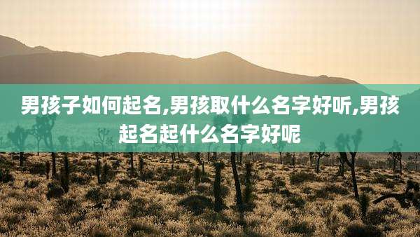 男孩子如何起名,男孩取什么名字好听,男孩起名起什么名字好呢