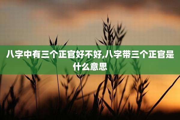 八字中有三个正官好不好,八字带三个正官是什么意思