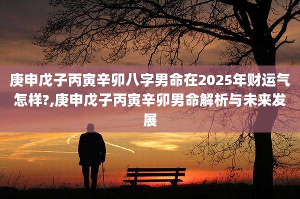 庚申戊子丙寅辛卯八字男命在2025年财运气怎样?,庚申戊子丙寅辛卯男命解析与未来发展
