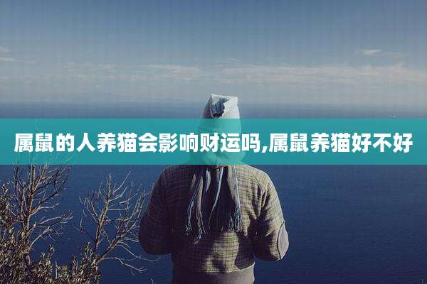 属鼠的人养猫会影响财运吗,属鼠养猫好不好