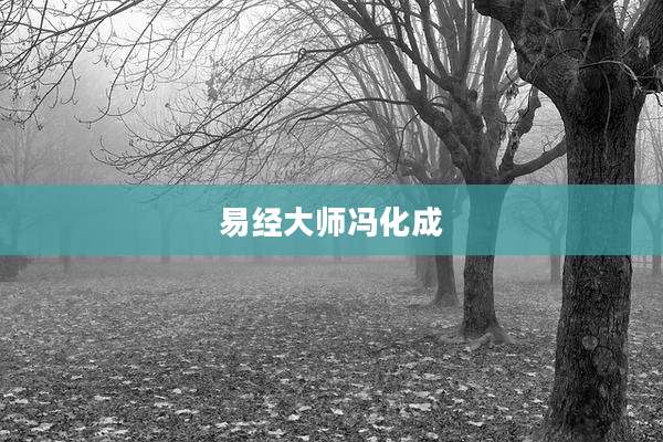 易经大师冯化成