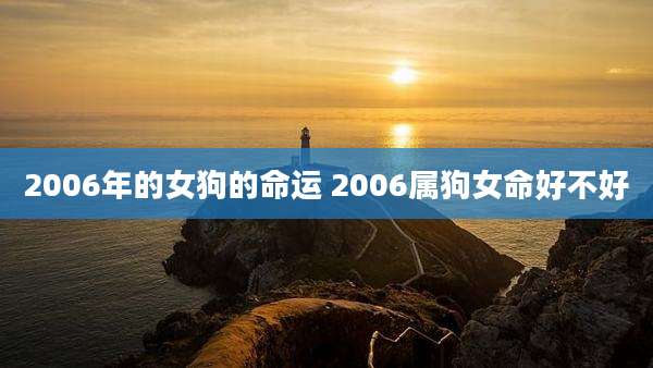 2006年的女狗的命运 2006属狗女命好不好