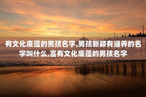 有文化底蕴的男孩名字,男孩新颖有涵养的名字叫什么,富有文化底蕴的男孩名字