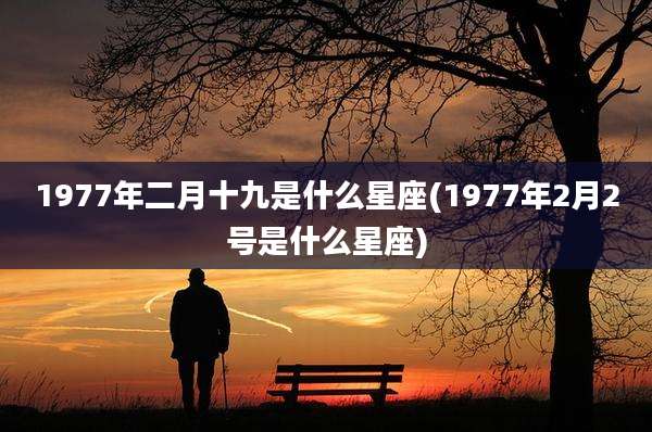 1977年二月十九是什么星座(1977年2月2号是什么星座)