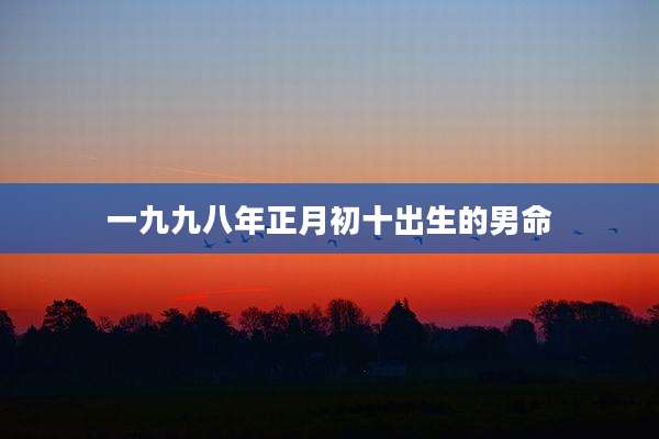 一九九八年正月初十出生的男命