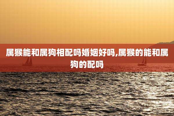 属猴能和属狗相配吗婚姻好吗,属猴的能和属狗的配吗