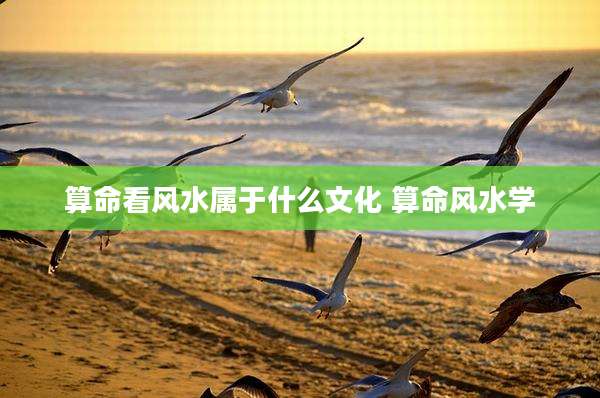 算命看风水属于什么文化 算命风水学