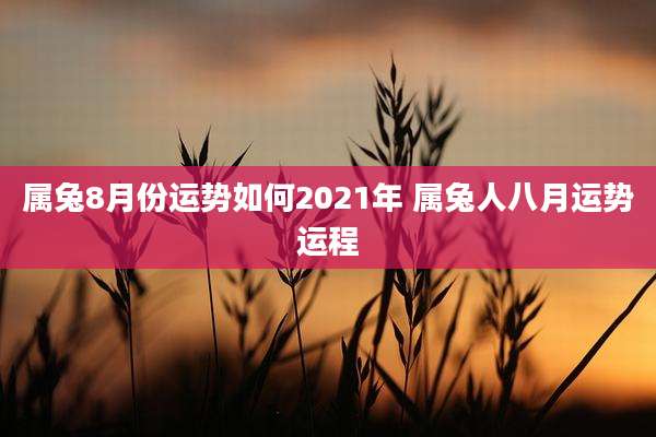 属兔8月份运势如何2021年 属兔人八月运势运程