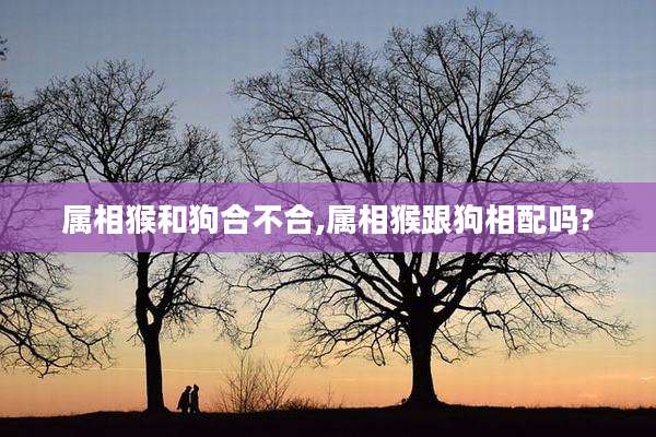 属相猴和狗合不合,属相猴跟狗相配吗?