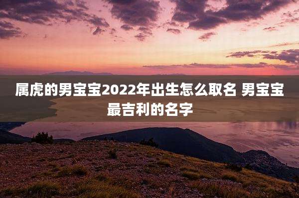 属虎的男宝宝2022年出生怎么取名 男宝宝最吉利的名字