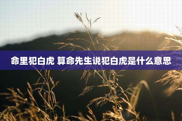命里犯白虎 算命先生说犯白虎是什么意思